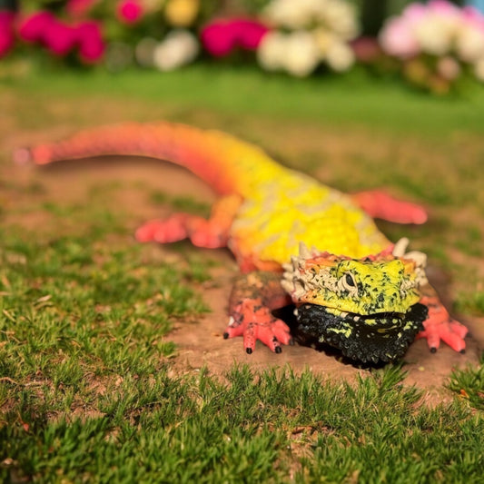 🦎 Vibrant 3D Printed Bearded Dragon – Rainbow Color Fade | PLA Figurine | Perfect Gift or Desk Buddy
